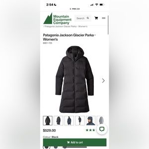 PATAGONIA Jackson Glacier Parka